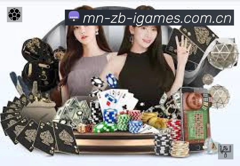 安全使用与支持流程